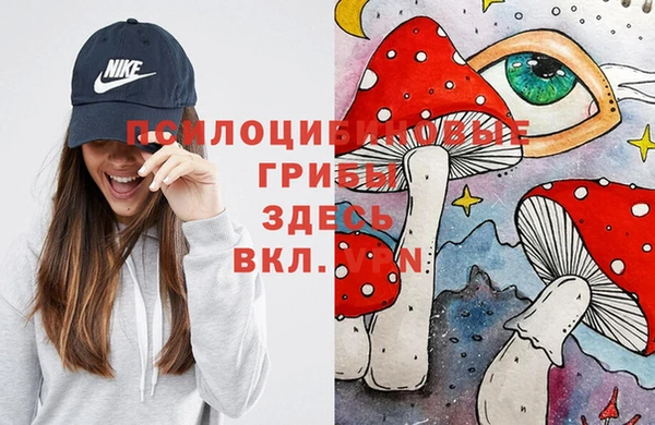 гидропоника Михайловск
