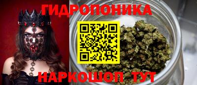 ПСИЛОЦИБИНОВЫЕ ГРИБЫ Гулькевичи