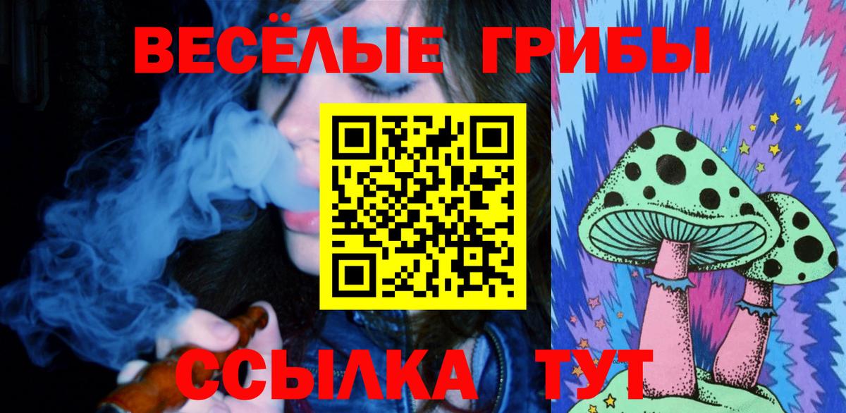Псилоцибиновые грибы мицелий  Вход с VPN  Махачкала  Галлюциногенные грибы MAGIC MUSHROOMS 